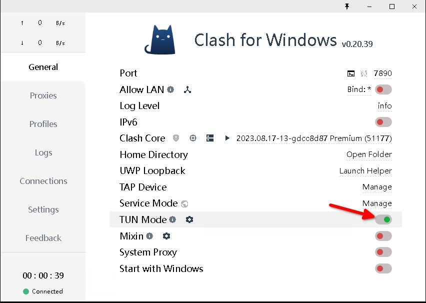 Clash for Windows application settings